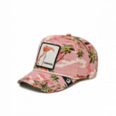 Gorra Goorin Bros Hungover