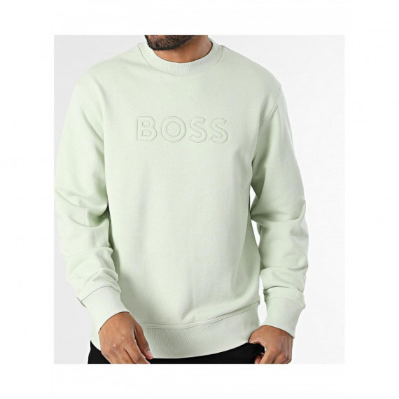 BOSS - We_logo - 384 - 50567420/384