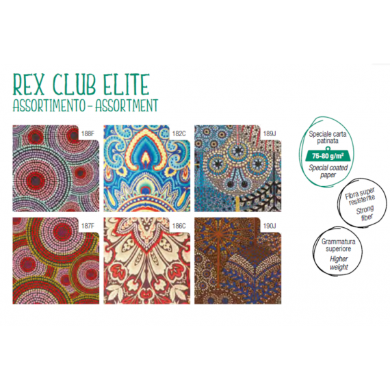 Papel de Regalo Todo Tiempo Elite RC3J101G