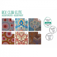 Papel de Regalo Todo Tiempo Elite RC3J101G