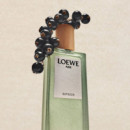 Loewe Aire Sutileza Eau de Toilette