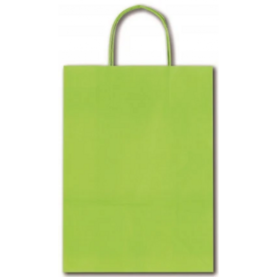 Bolsa con Asa 36x12x41 cm Verde Lima