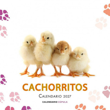 Calendario Cachorritos 2027