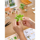 Maqueta Oxygen Oasis  ROLIFE