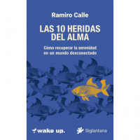 las 10 Heridas del Alma   2025