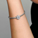 PANDORA Charm Herbario Brillante 792623C01