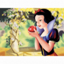 Blancanieves Pack Pc  ELECTRONIC ARTS - PS
