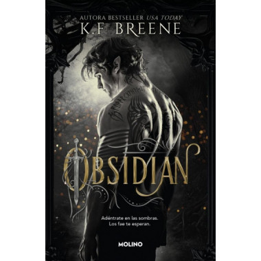 LOS FAE DE LAS SOMBRAS 1 OBSIDIAN