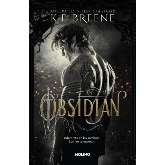 LOS FAE DE LAS SOMBRAS 1 OBSIDIAN
