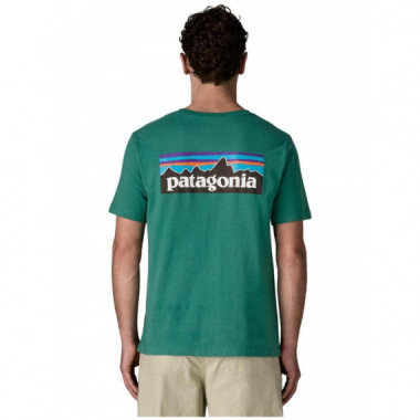 PATAGONIA - M's P-6 Logo T-Shirt - CNGR - 37882/CNGR
