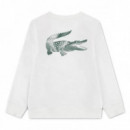 Lcb Graphic S/s Tee Farine  LACOSTE