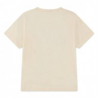 Lcb Graphic Tee Poudre  LACOSTE