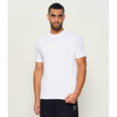 TS_LOGO 10274735 01 NATURAL