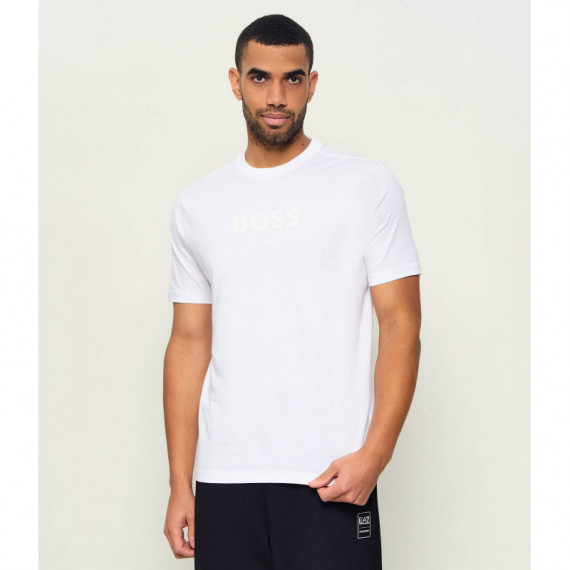 TS_LOGO 10274735 01 NATURAL