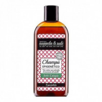 Nuggela & Sulé Champú Epigenético Anti Caspa 250ML  NUGGELA & SULE