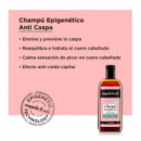Nuggela & Sulé Champú Epigenético Anti Caspa 250ML  NUGGELA & SULE