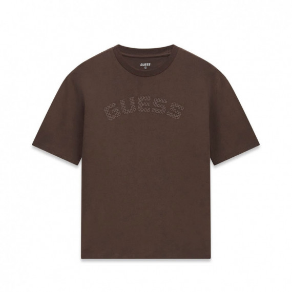 Guess Athleisure Camiseta Triangle Logo Marrón Z6BI04-K6534-G1DL