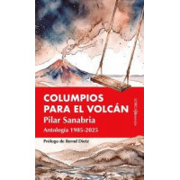 Columpios para el Volcan   2026
