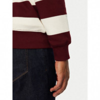 Essential Terry Crewneck Burgundy/ Ivory  TOMMY HILFIGER