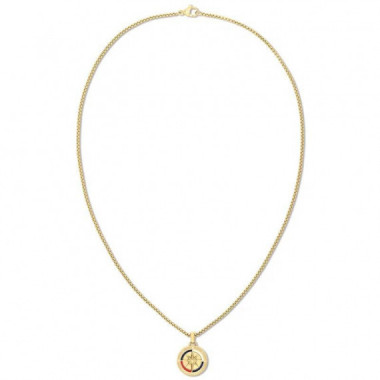 COLLAR COMPASS DORADO