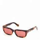 Gafas de Sol MO0175  MAX&CO