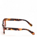 Gafas de Sol MO0175  MAX&CO