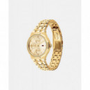 Reloj Dorado  TOMMY HILFIGER