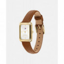 Reloj Daisy C/marron  TOMMY HILFIGER