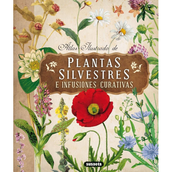 Plantas silvestres e infusiones curativas