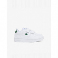 Infants Court Ace Snk Wht/dk Green  LACOSTE