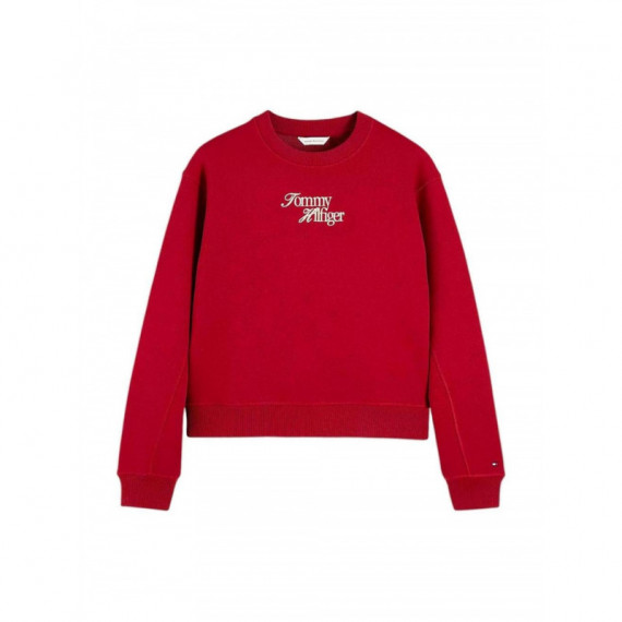 TOMMY HILFIGER - SCRIPT REGULAR C-NK SWT - XKC - F|WW0WW51598/XKC