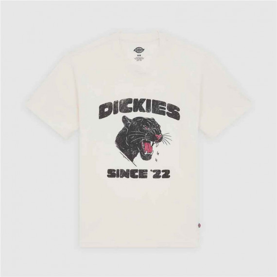 Camiseta DICKIES McDemitt