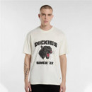 Camiseta DICKIES McDemitt