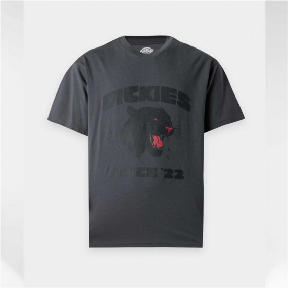 Camiseta DICKIES Mc Dermitt