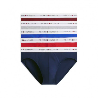 5P BRIEF MD RD/CRB NV/LT GR HTHR/BURG/NO