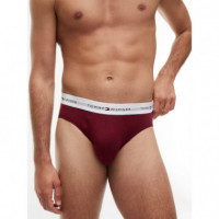5P BRIEF MD RD/CRB NV/LT GR HTHR/BURG/NO