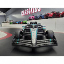 Mercedes Formula 1 Black/grey