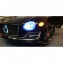Bentley Exp Black