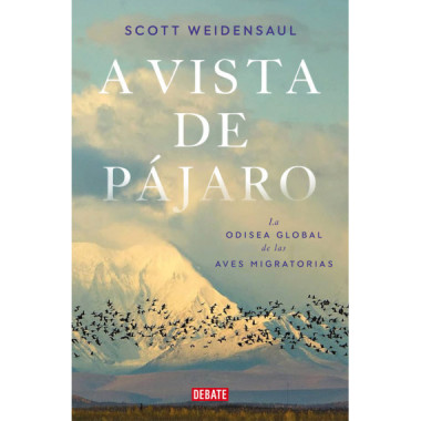 A VISTA DE PAJARO