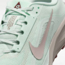 Zapatilla ACG Pegasus Trail