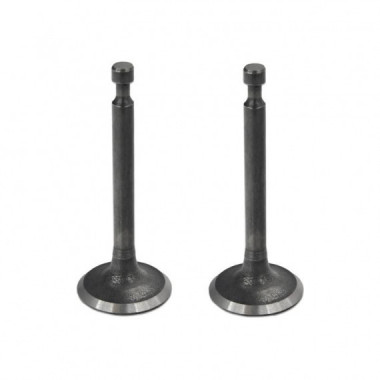 Valvulas Motor Generador 168F Pack 2 Piezas TK104-TK174-TK155 TAKUMA