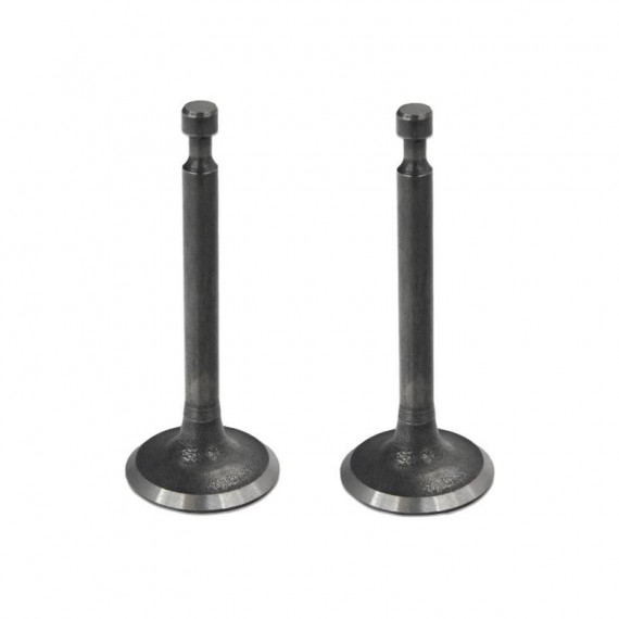 Valvulas Motor Generador 168F Pack 2 Piezas TK104-TK174-TK155 TAKUMA