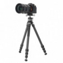 VANGUARD Veo 5XT 264CLBS