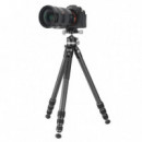 VANGUARD Veo 5XT 304CLBS