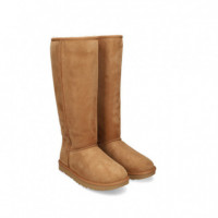Bota ante Cuero  UGG