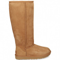 Bota ante Cuero  UGG