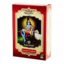 TRAT/CAPILAR AYURVEDICO HIBISCUS 100GR. RADHE SHYAM