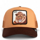 GORRA  KING TRUCKER