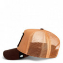 GORRA  KING TRUCKER