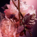 Good Girl Blush Elixir
Eau de Parfum TST